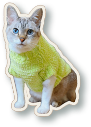 Gatinho de crochê